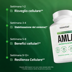 Essentae - Capsule di superfrutto Amla