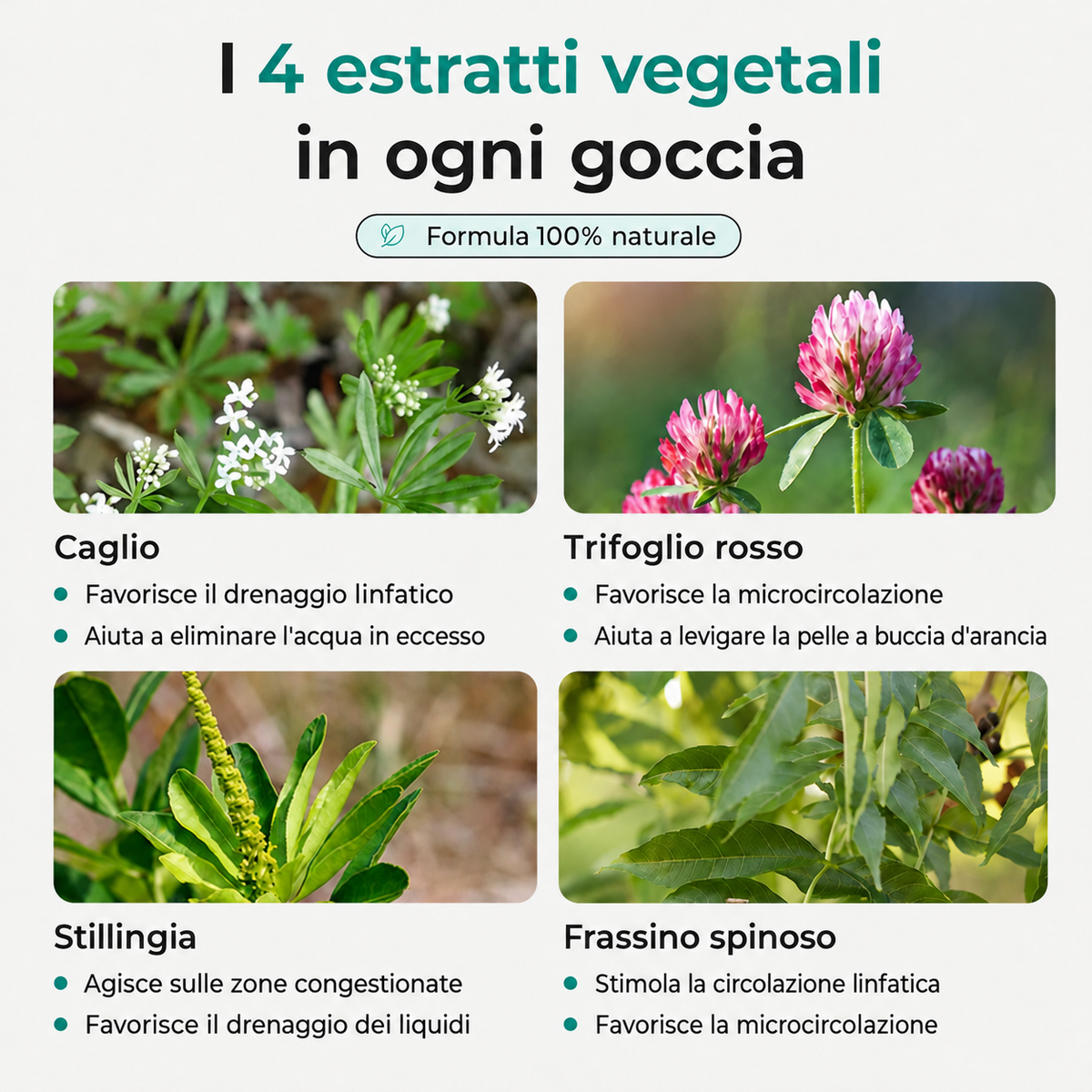 Essentae - Drenaggio linfatico