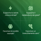 Essentae - Capsule di superfrutto Amla