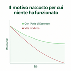 Essentae - Capsule di superfrutto Amla