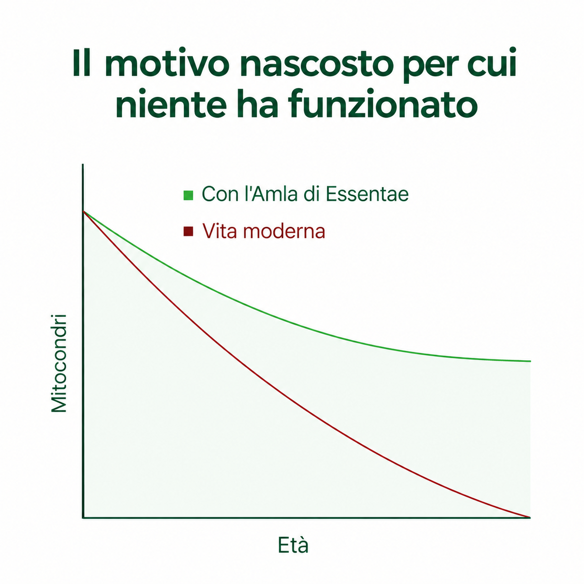 Essentae - Capsule di superfrutto Amla